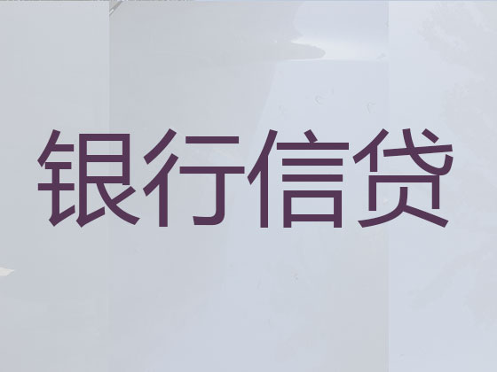 新疆贷款公司-银行信用贷款